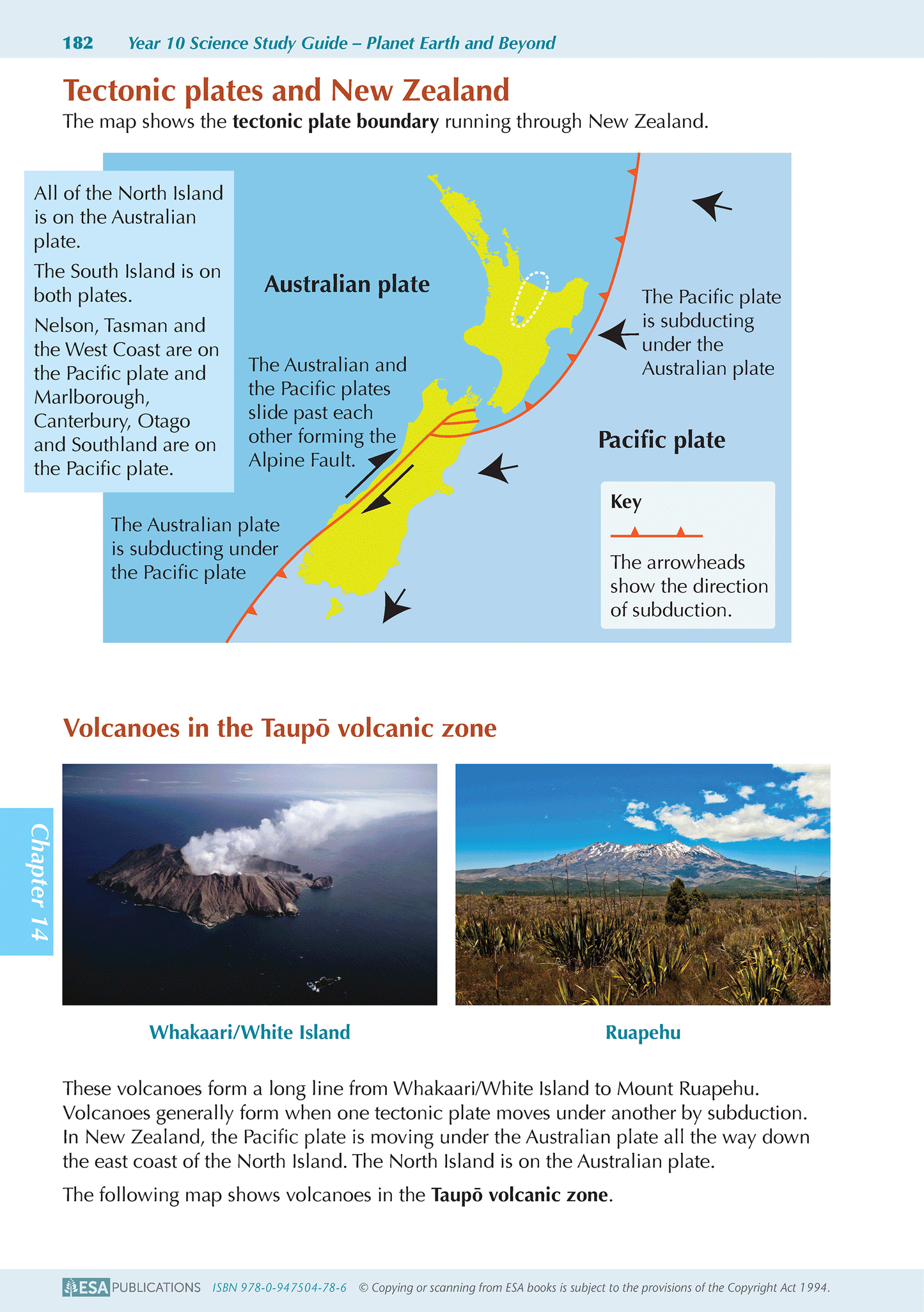 Year 10 Science ESA Study Guide