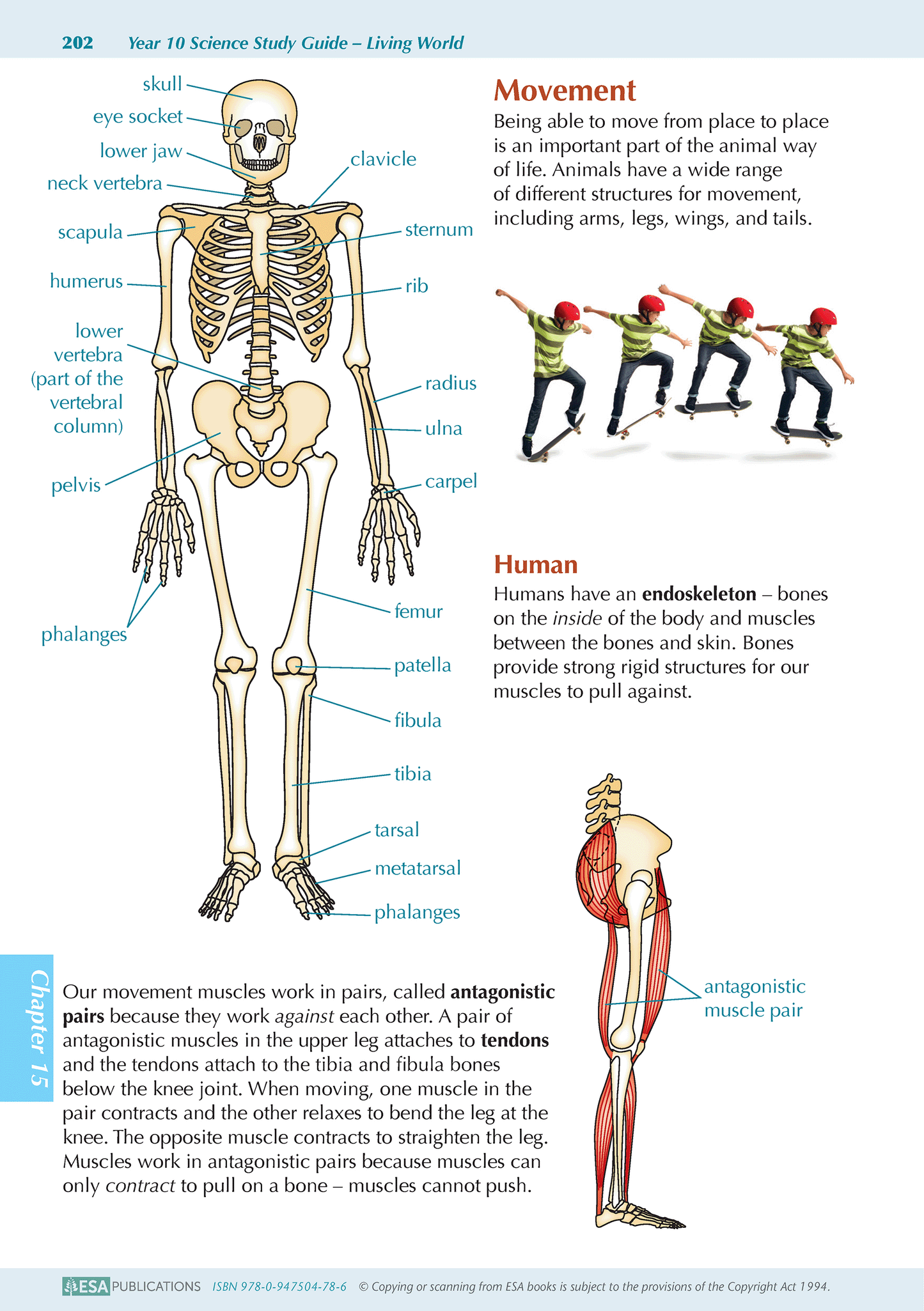 Year 10 Science ESA Study Guide