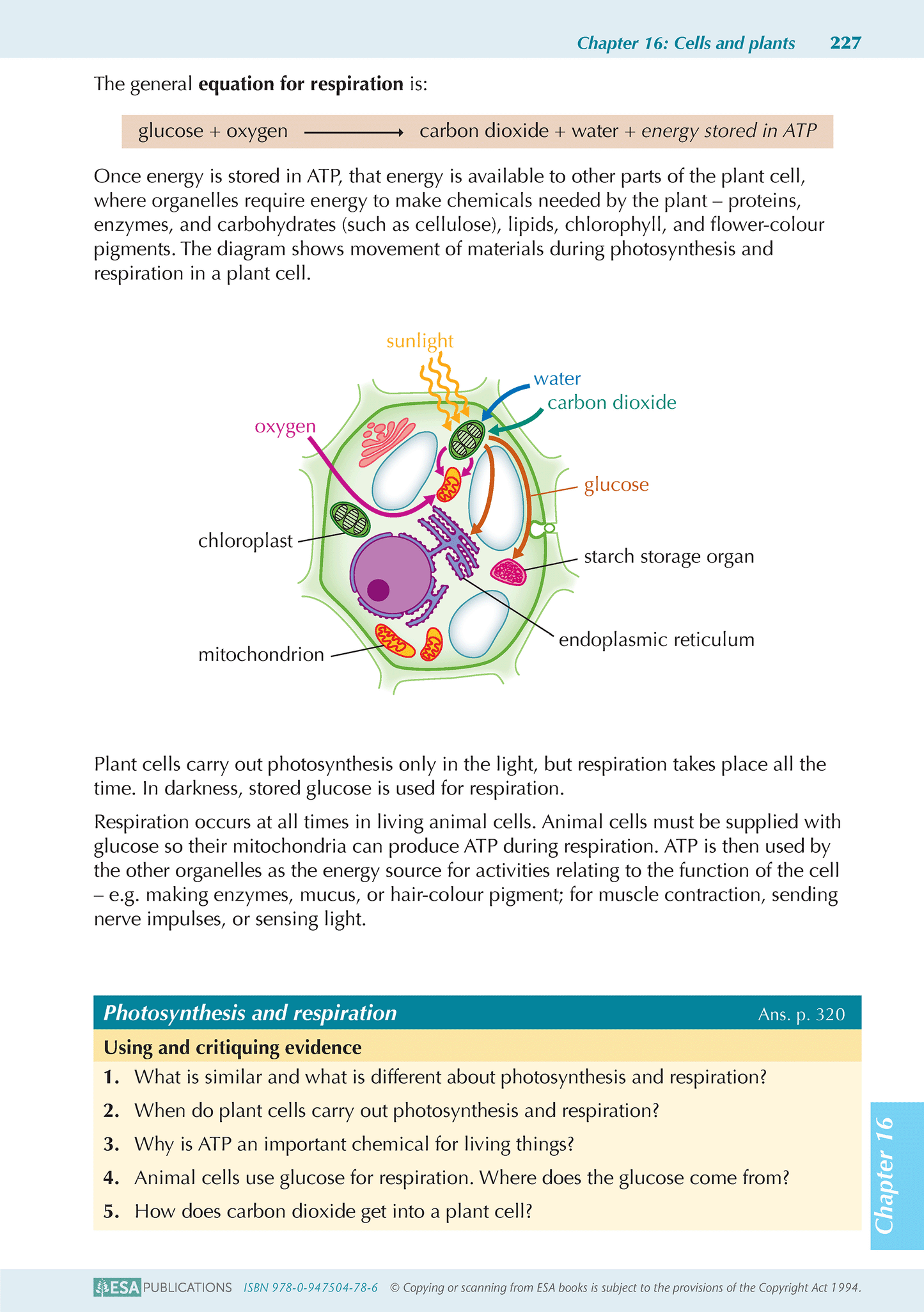 Year 10 Science ESA Study Guide