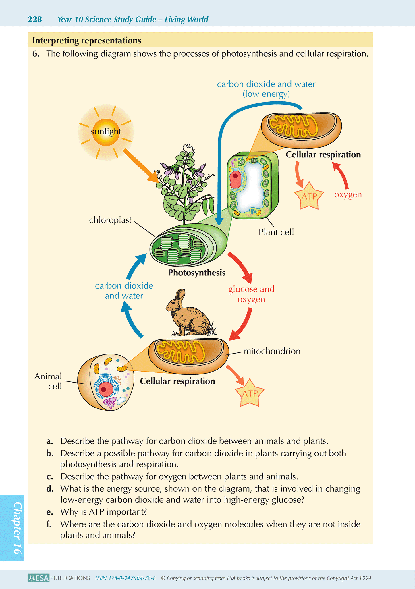 Year 10 Science ESA Study Guide