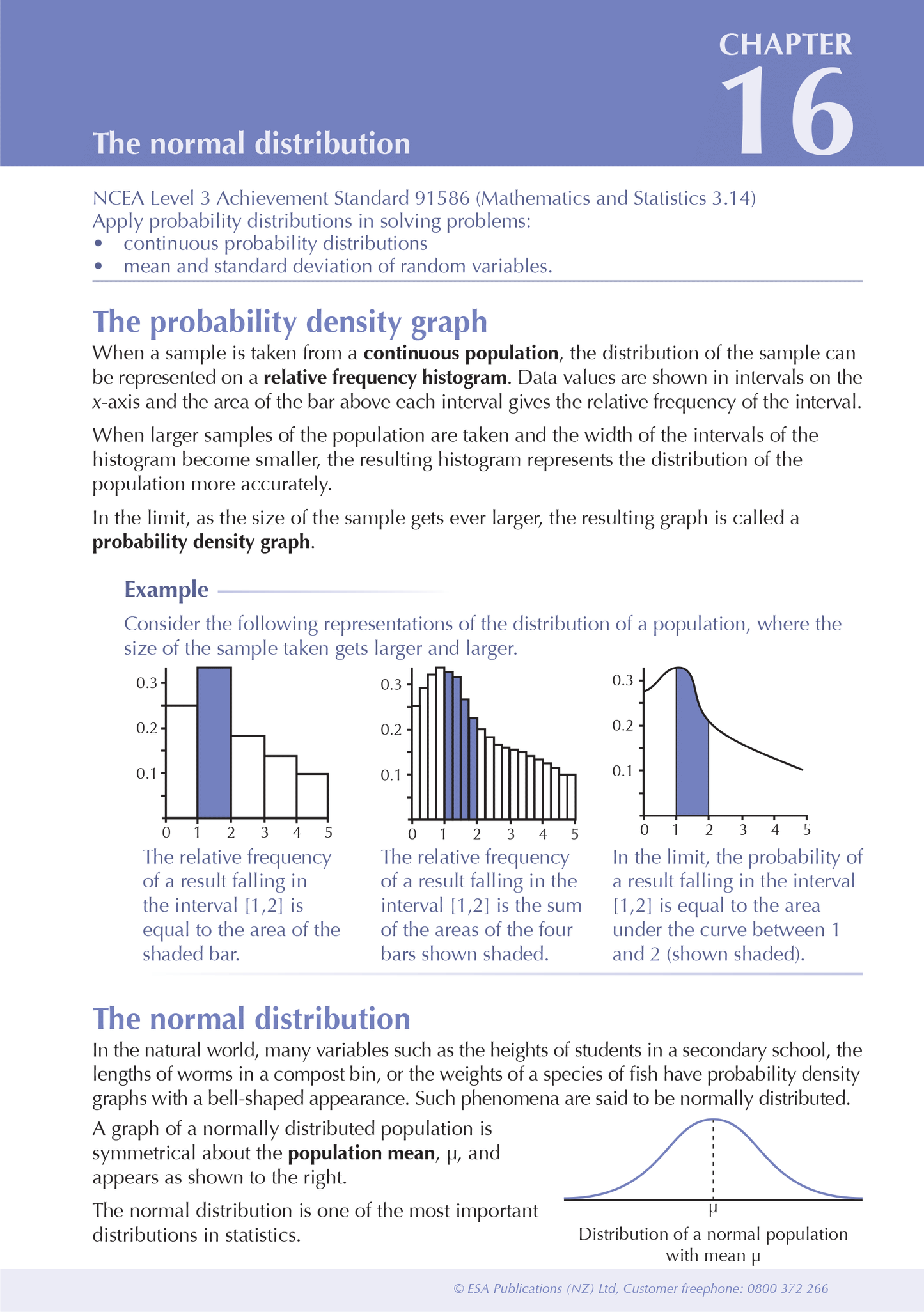 Level 3 Statistics ESA Study Guide