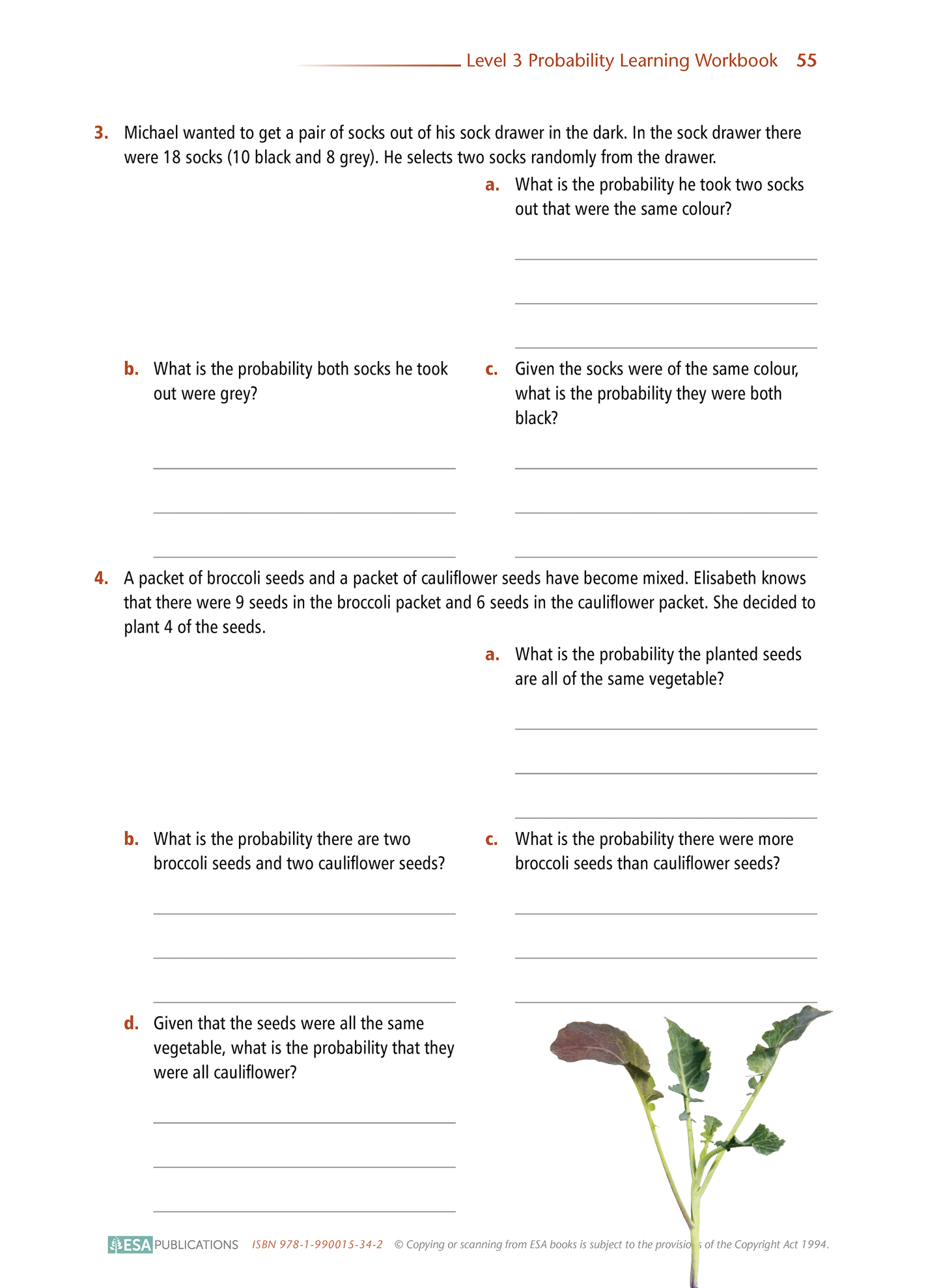 Level 3 Probability 3.13 Learning Workbook