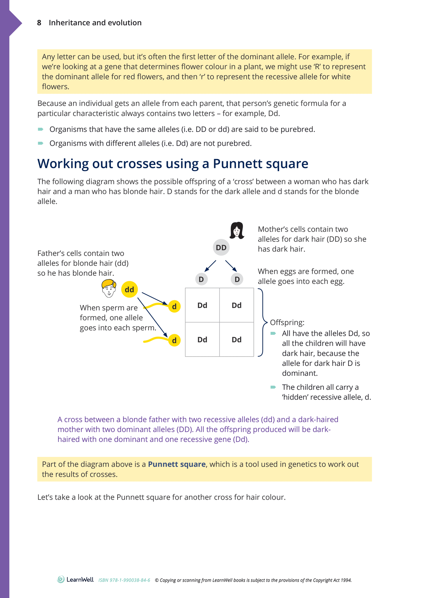 Year 10 Living World Learning Guide