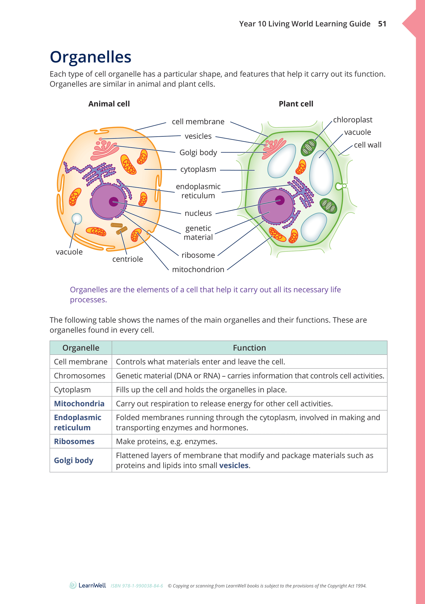 Year 10 Living World Learning Guide