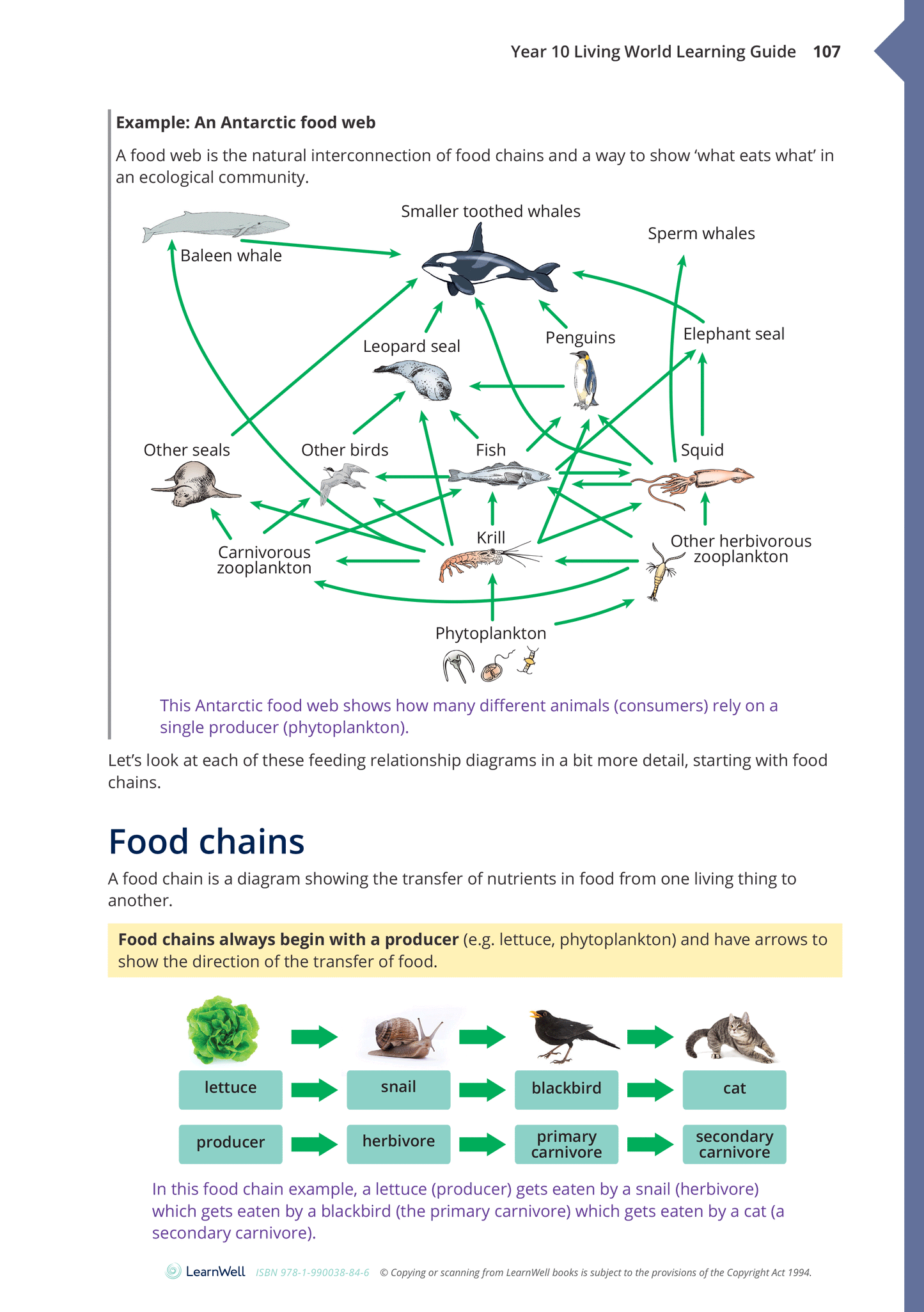 Year 10 Living World Learning Guide