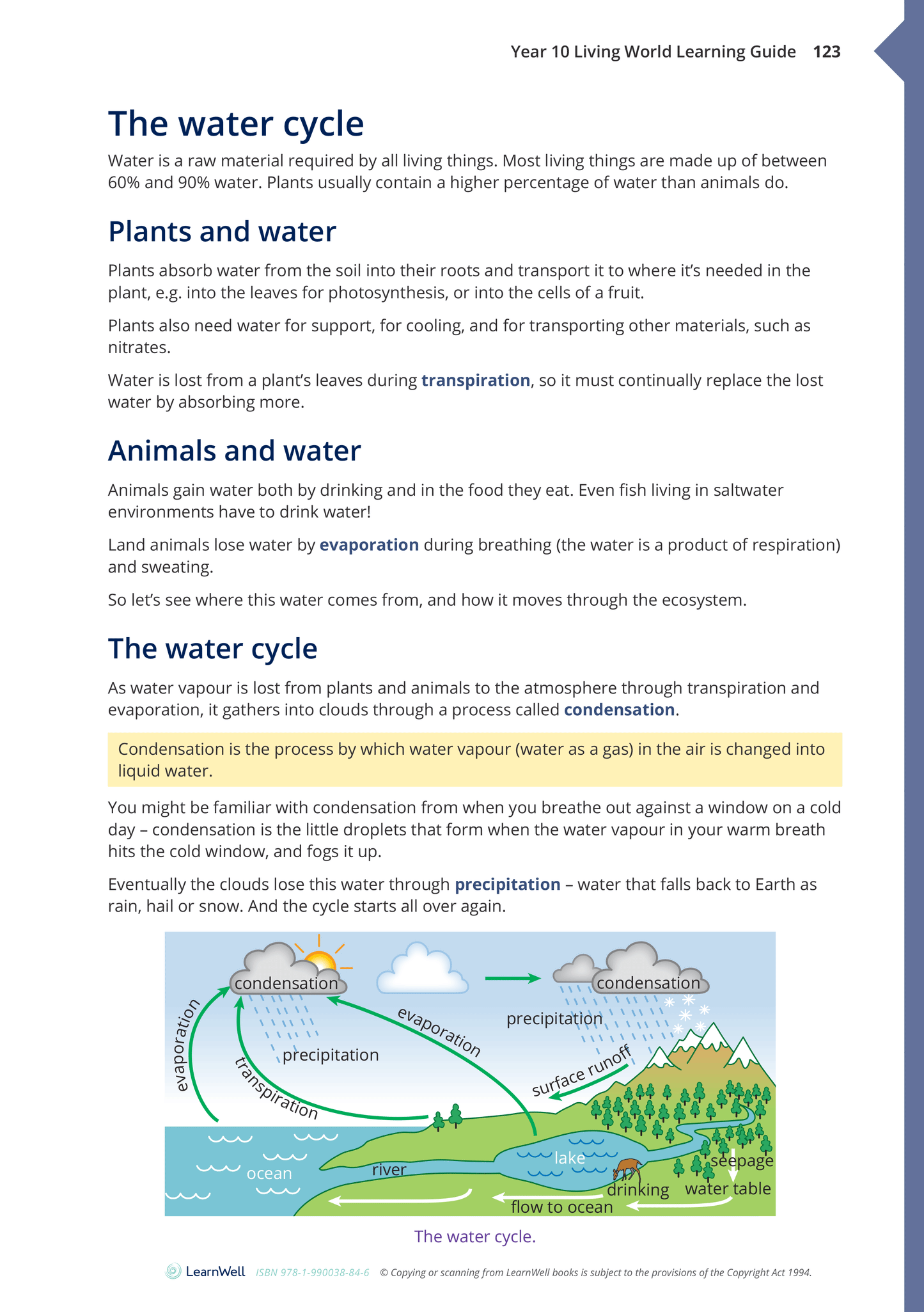 Year 10 Living World Learning Guide