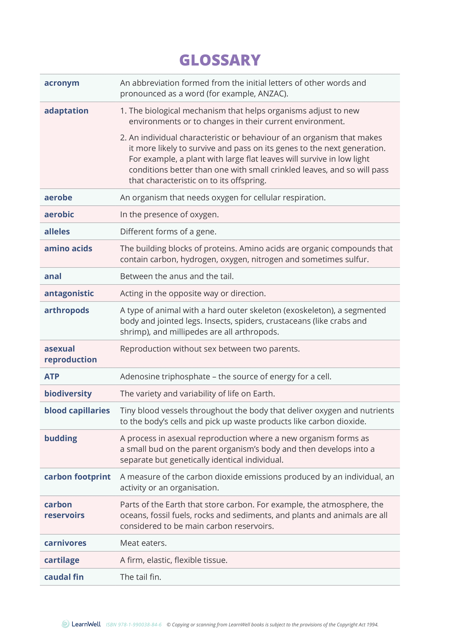 Year 10 Living World Learning Guide
