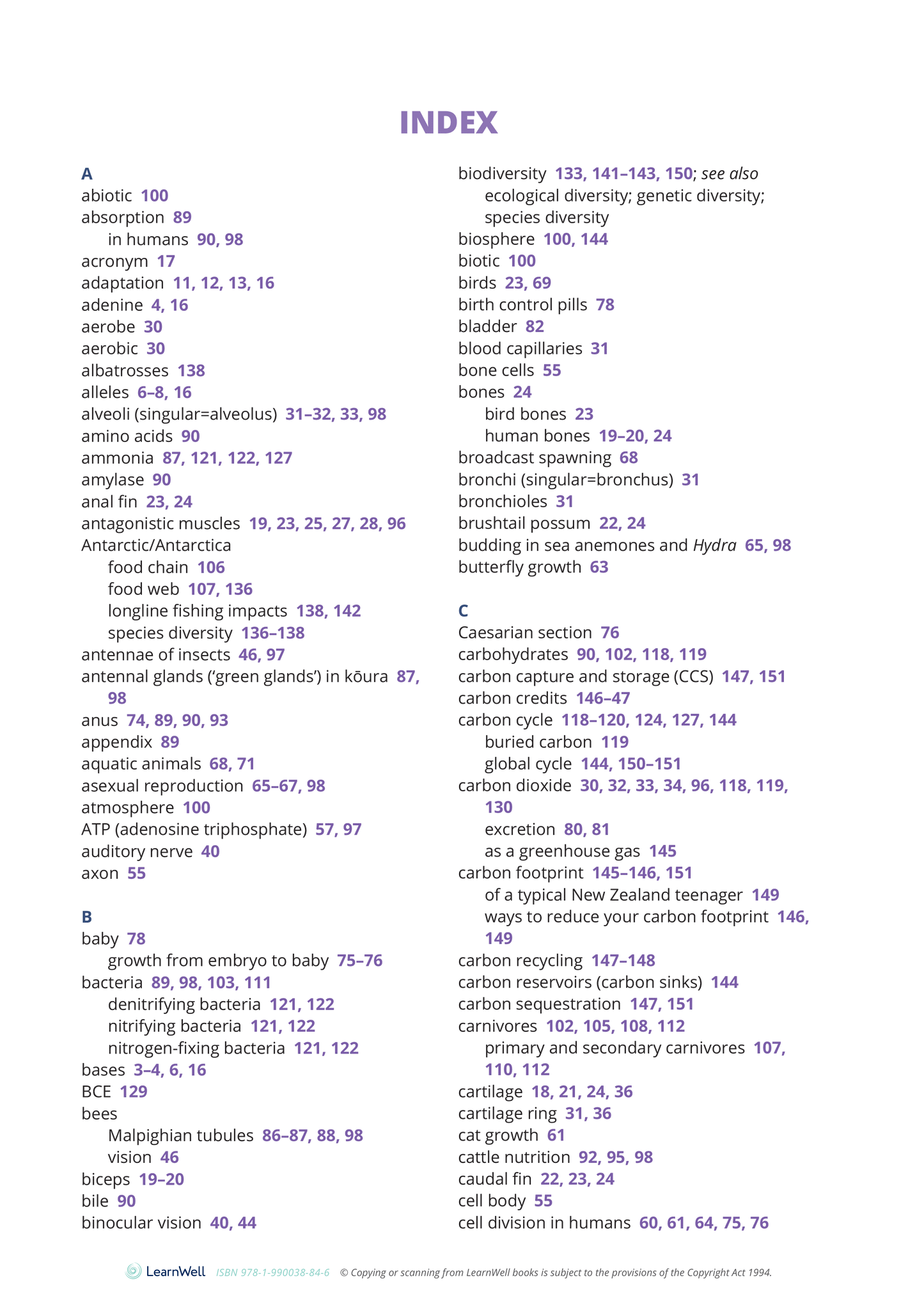 Year 10 Living World Learning Guide