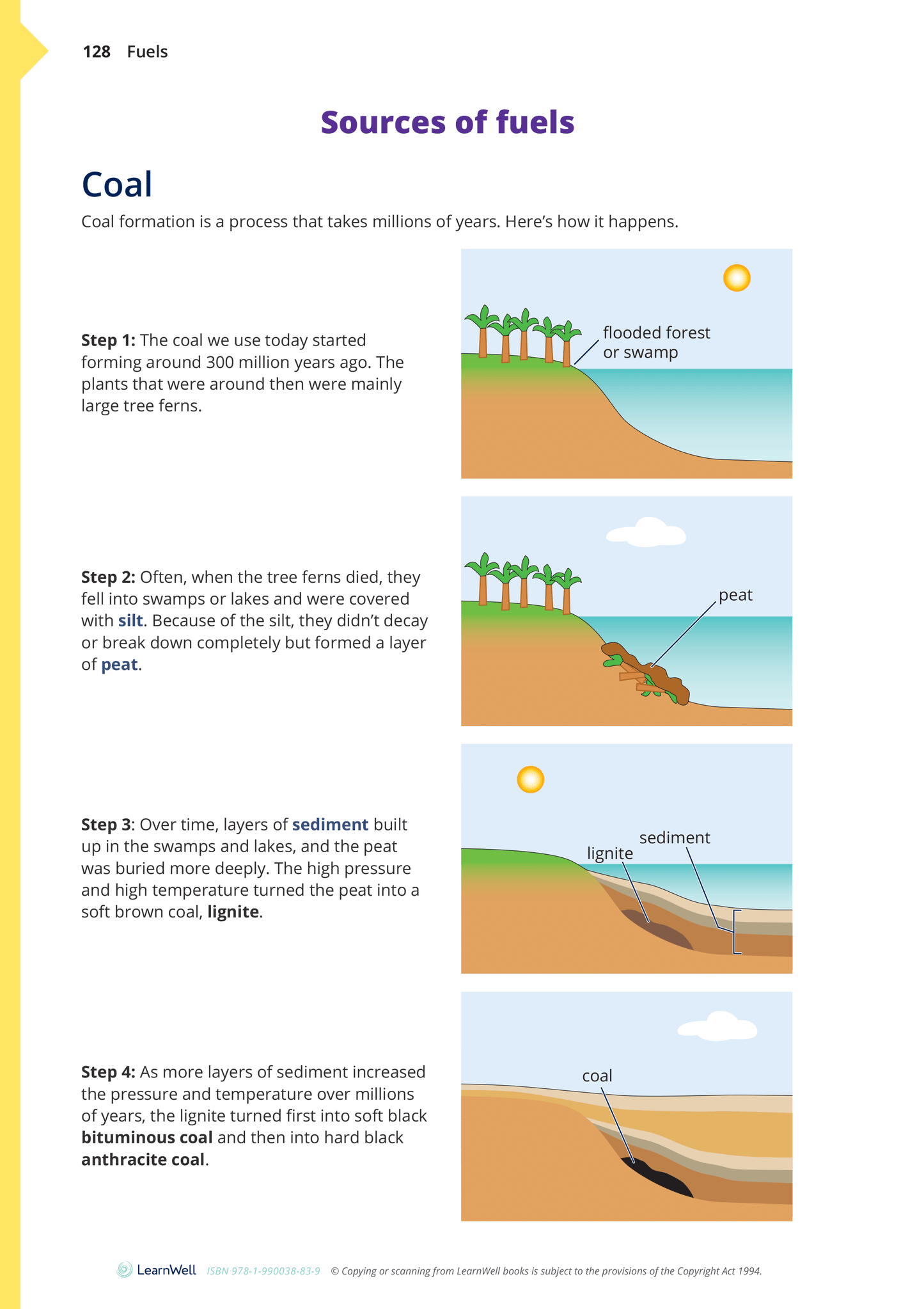 Year 10 Material World Learning Guide