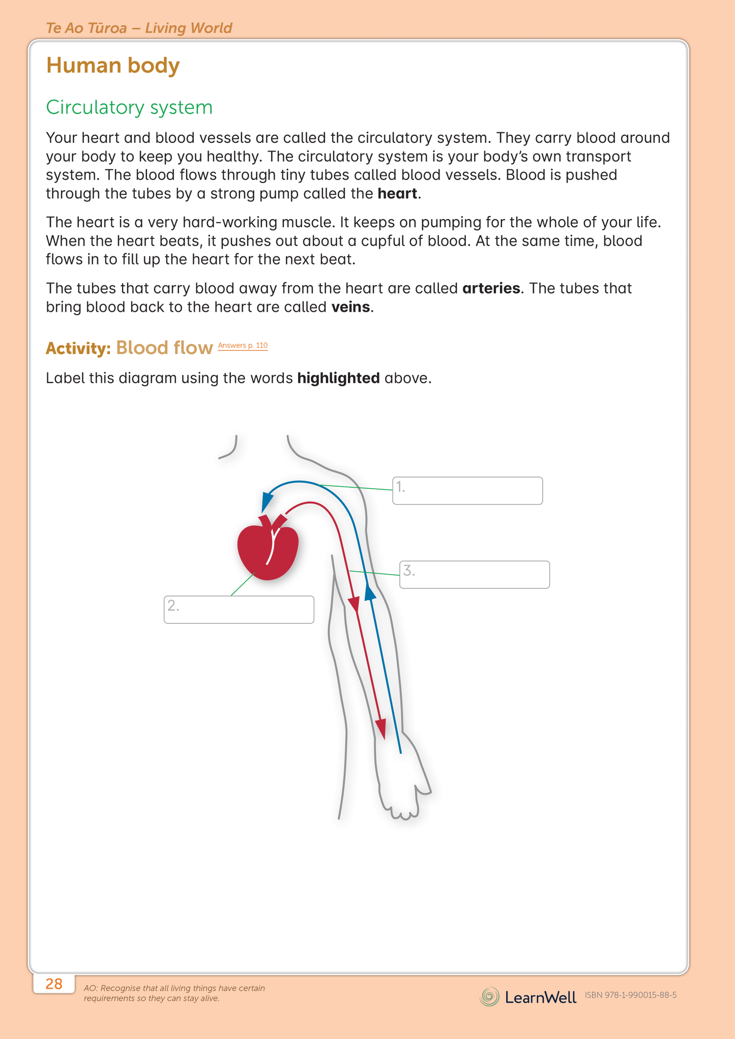 Year 4 Science Start Right Workbook