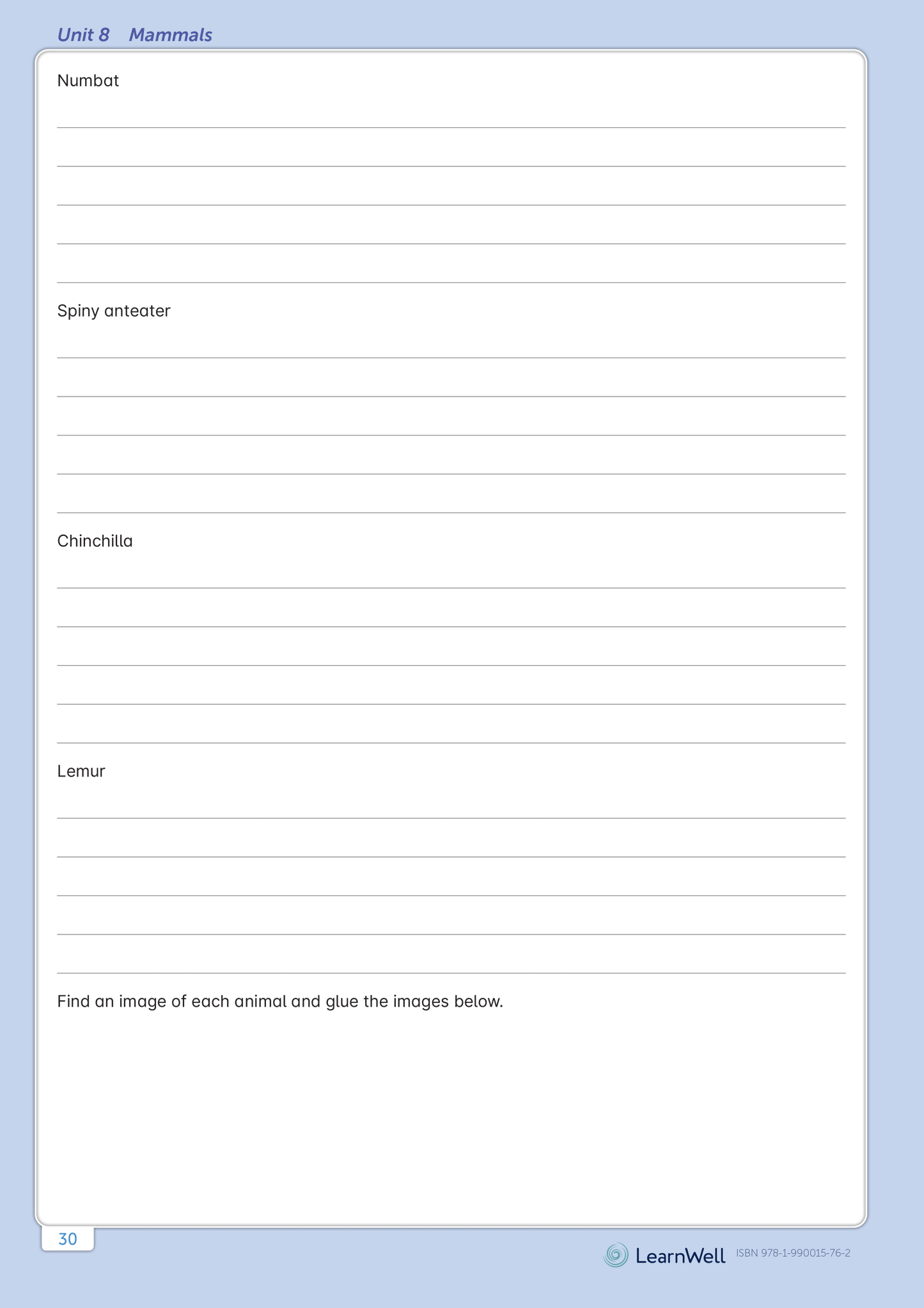 Year 6 Homework Start Right Workbook