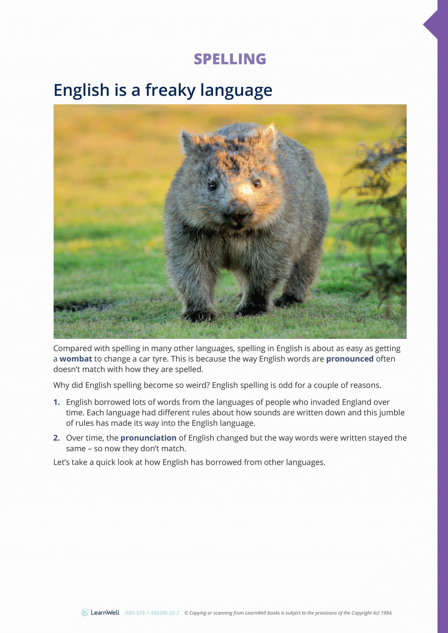 Year 9 Key Language Skills Learning Guide