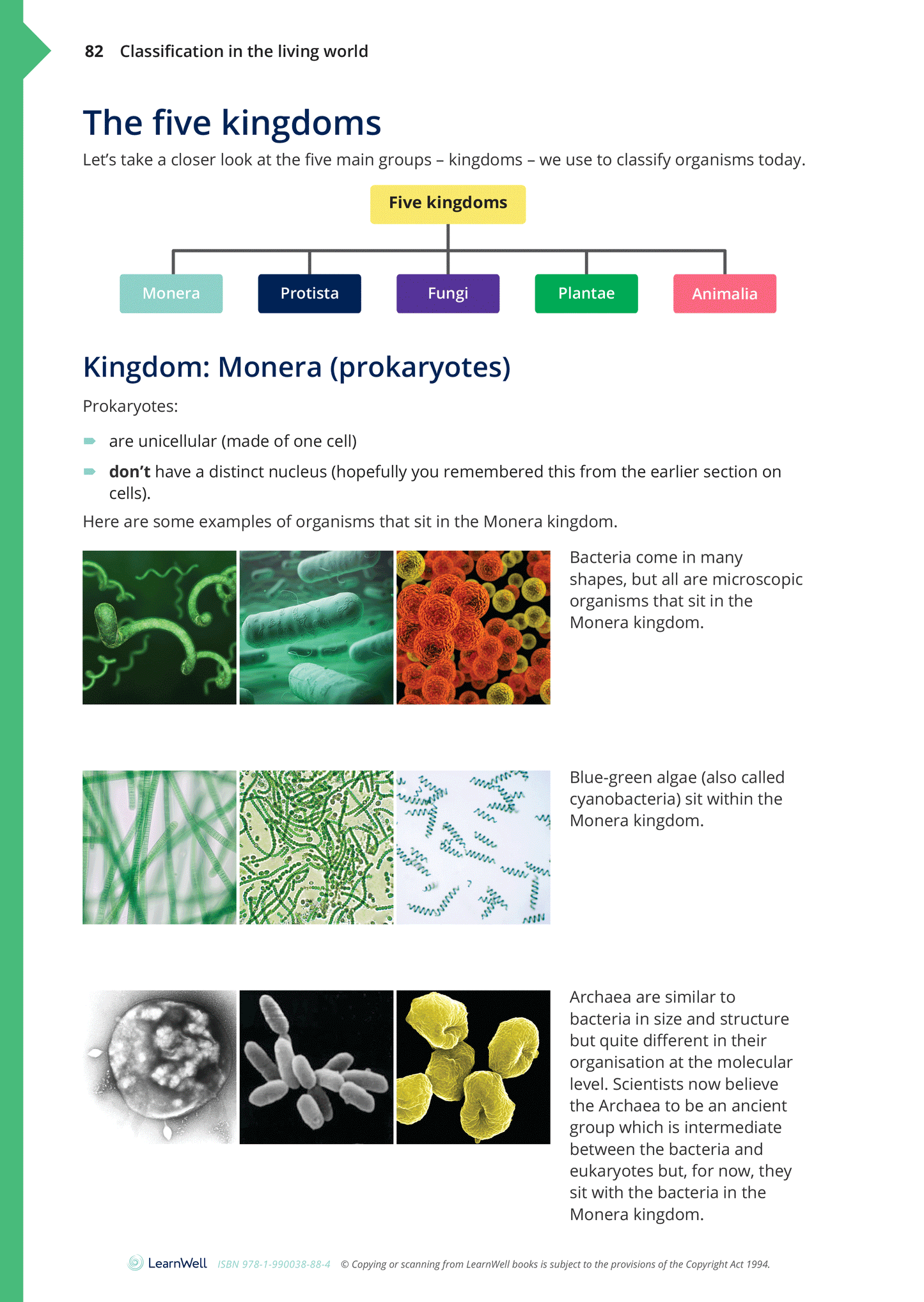 Year 9 Living World Learning Guide