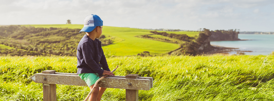 Where Do Ideas Come From?