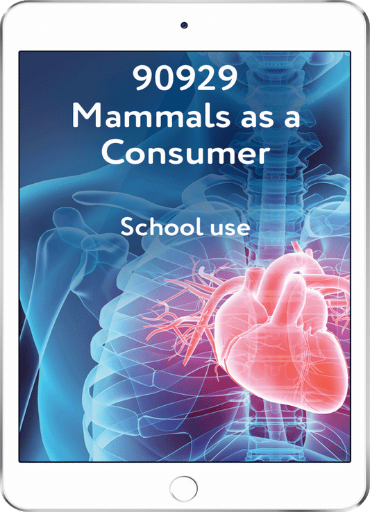 90929 Mammals as a Consumer - School Use