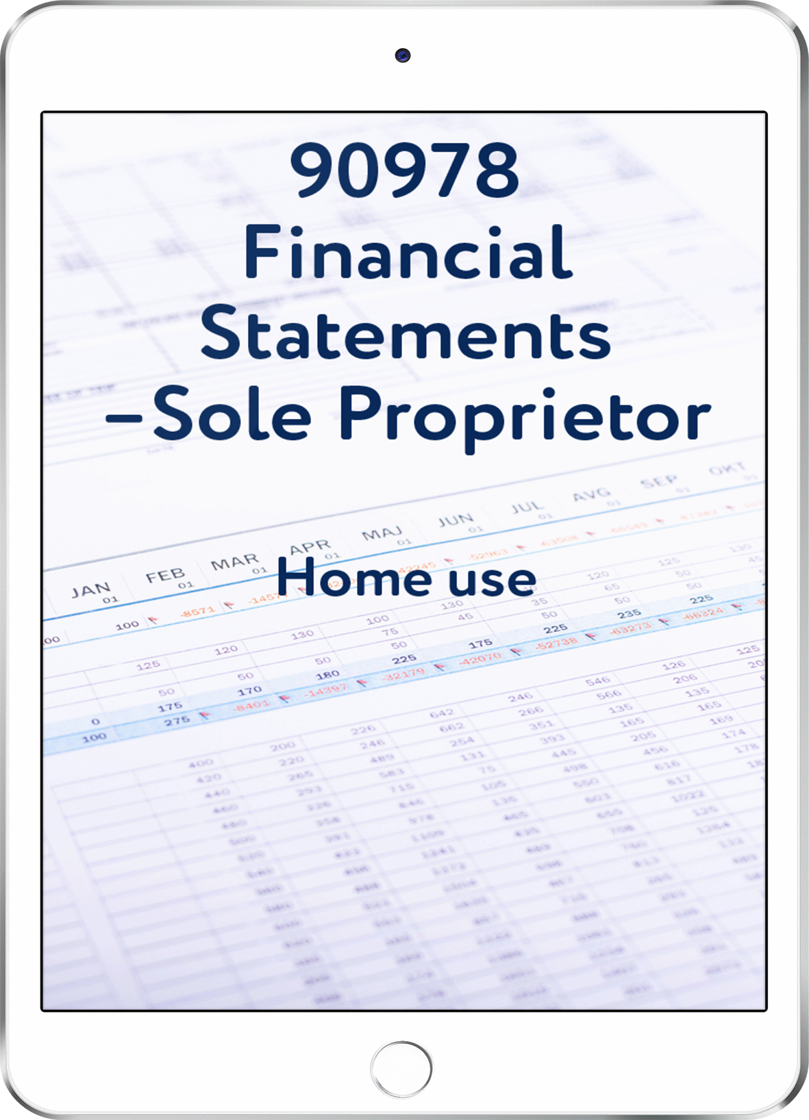 90978 Financial Statements - Sole Proprietor - Home Use