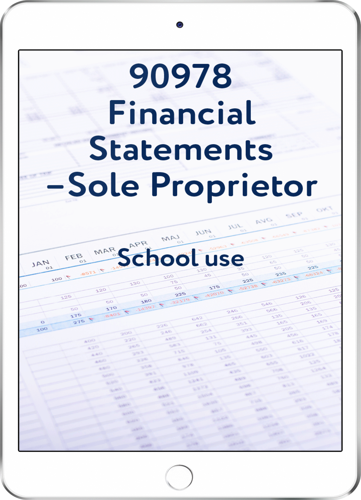 90978 Financial Statements - Sole Proprietor - School Use