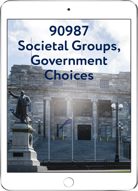 90987 Societal Groups, Government Choices