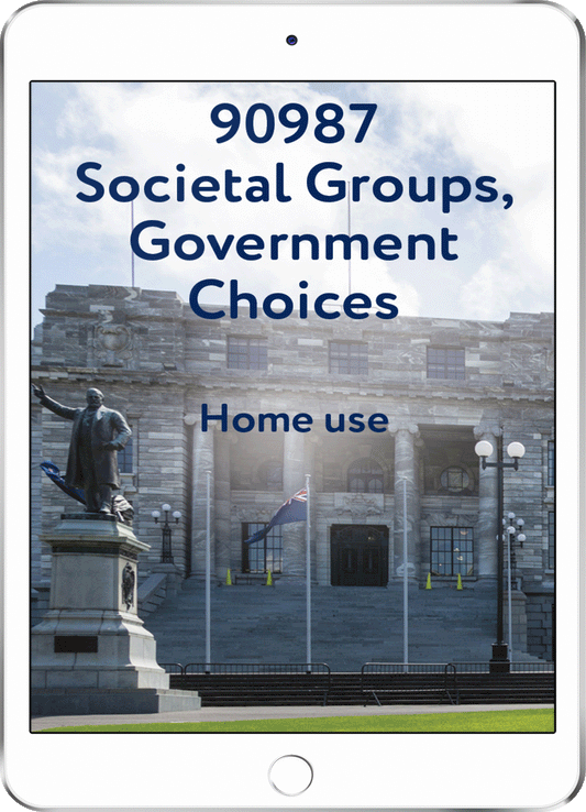 90987 Societal Groups, Government Choices - Home Use