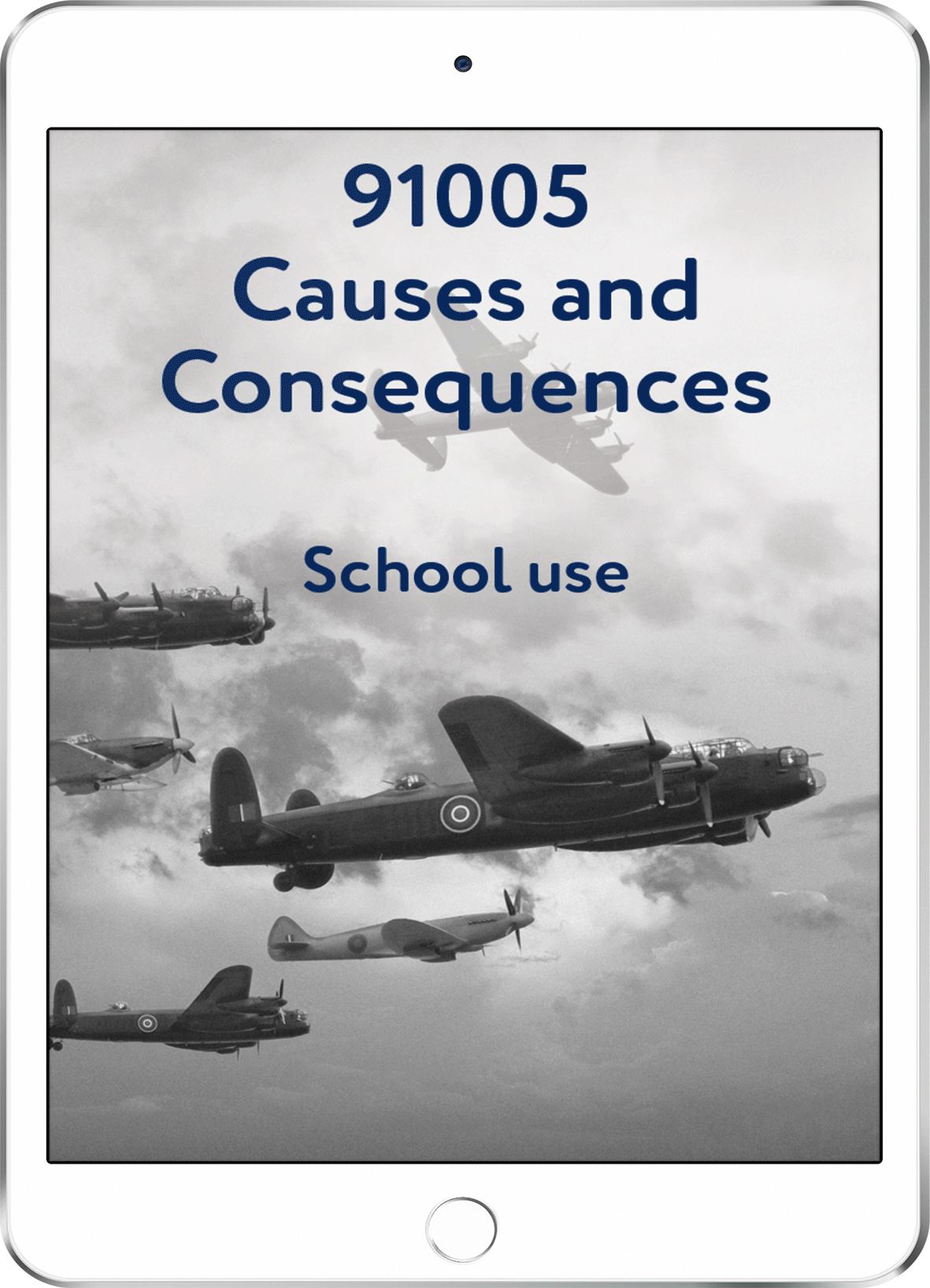 91005 Causes and Consequences - School Use
