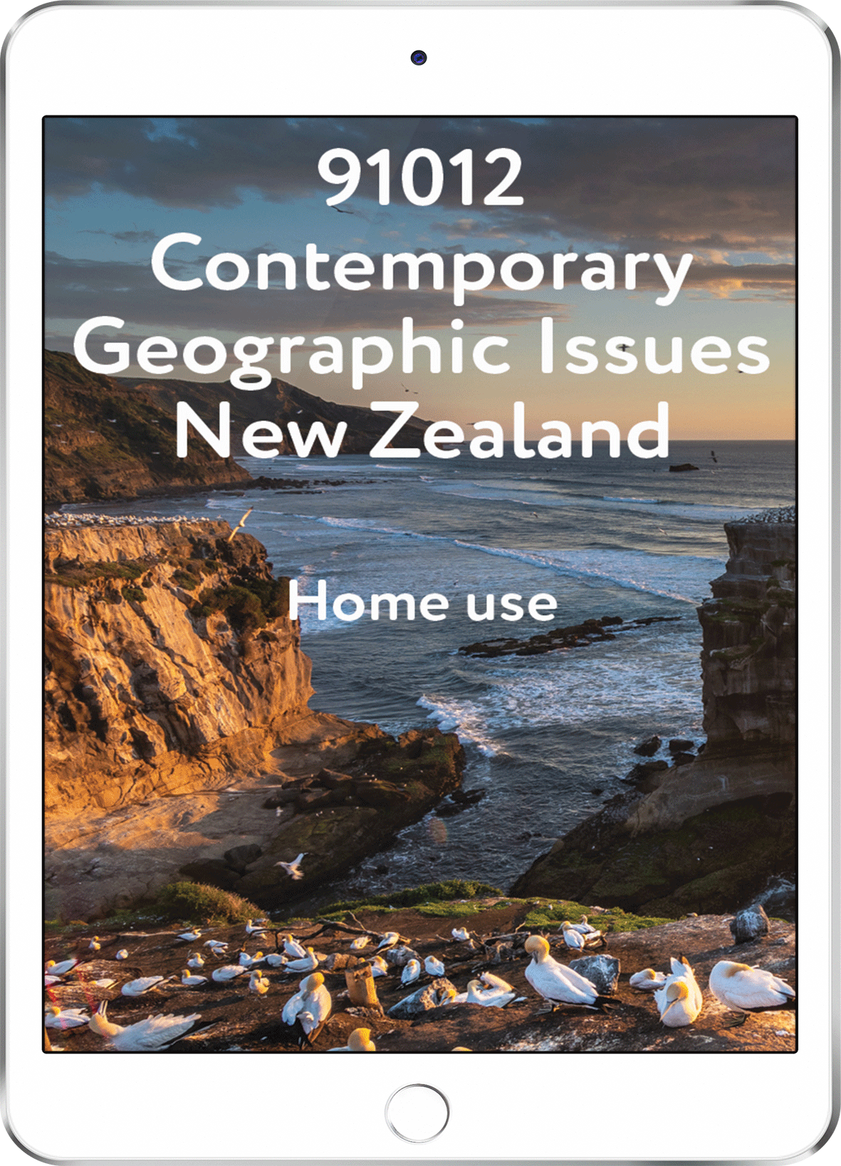 91012 Contemporary Geographic Issues NZ - Home Use