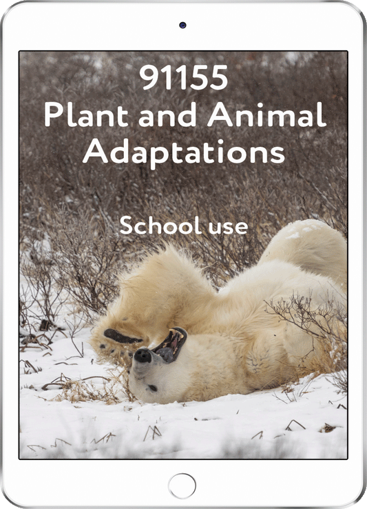 91155 Plant and Animal Adaptations - School Use