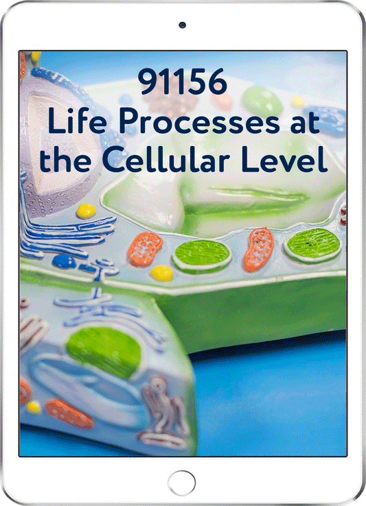 91156 Life Processes at the Cellular Level