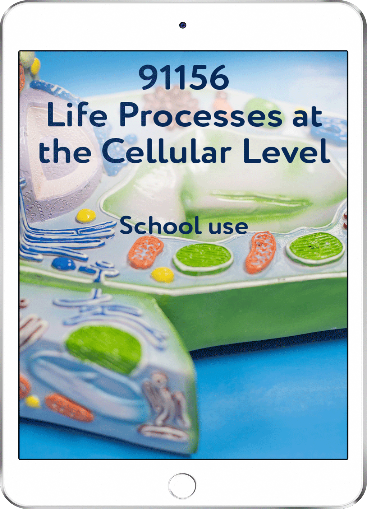 91156 Life Processes at the Cellular Level - School Use