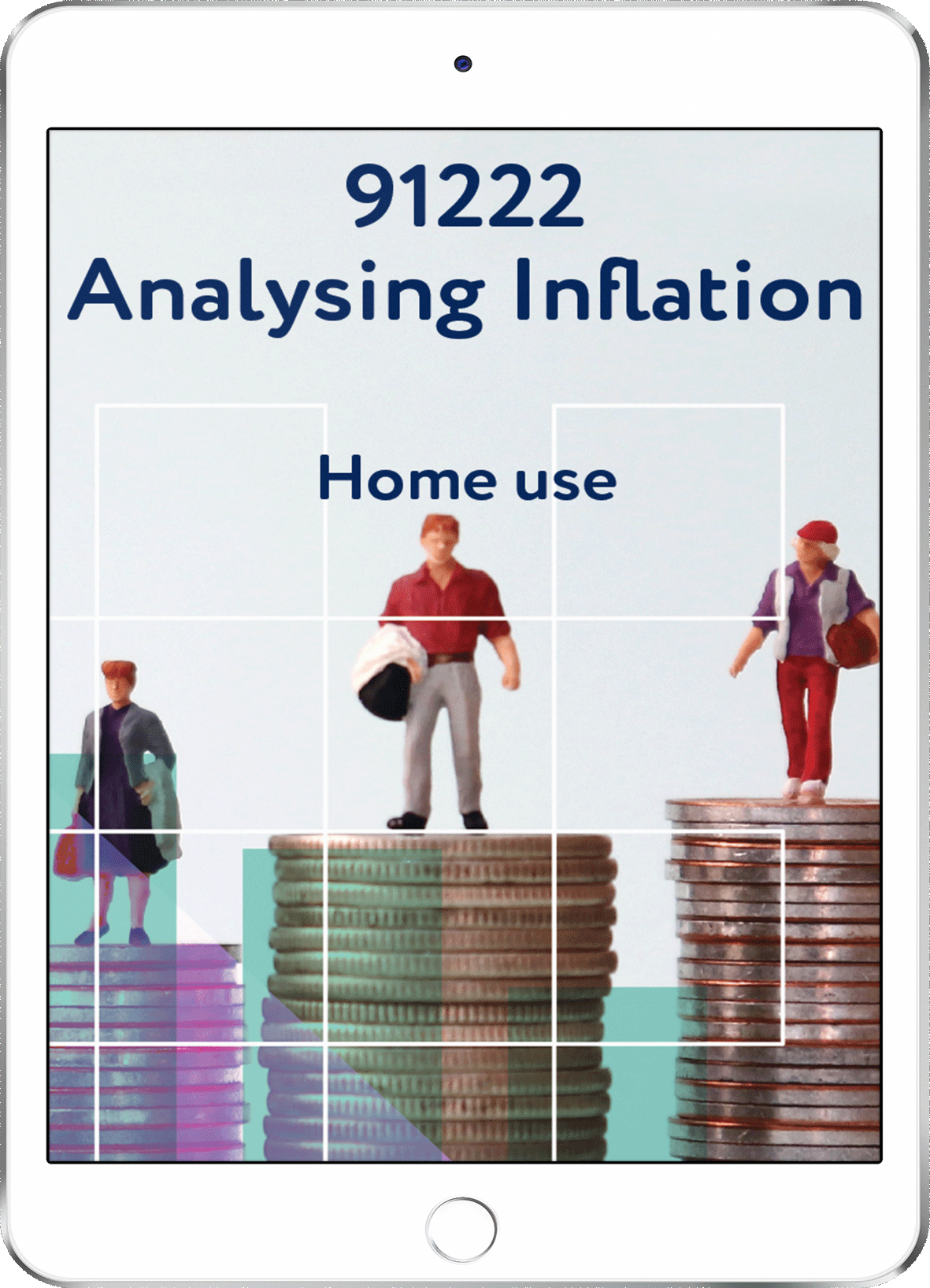 91222 Analysing Inflation - Home Use