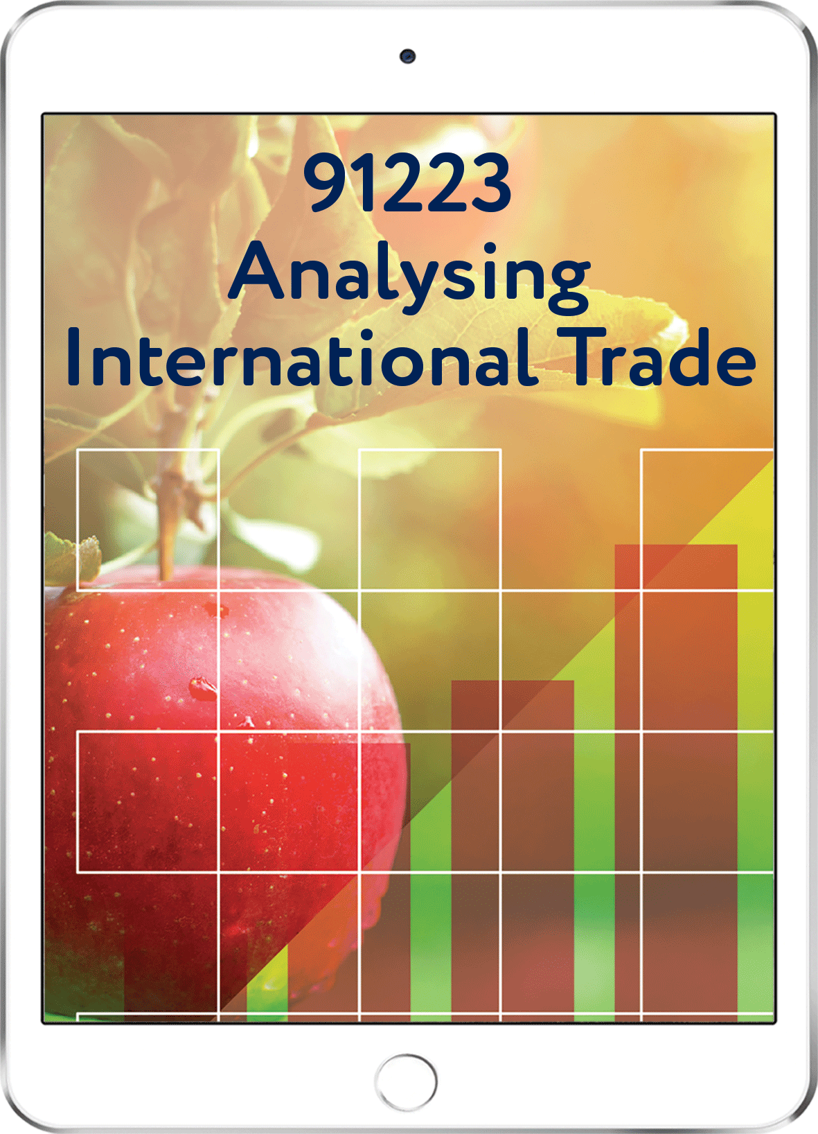91223 Analysing International Trade