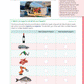 91228 Analyse a Contemporary Economic Issue Learning Guide