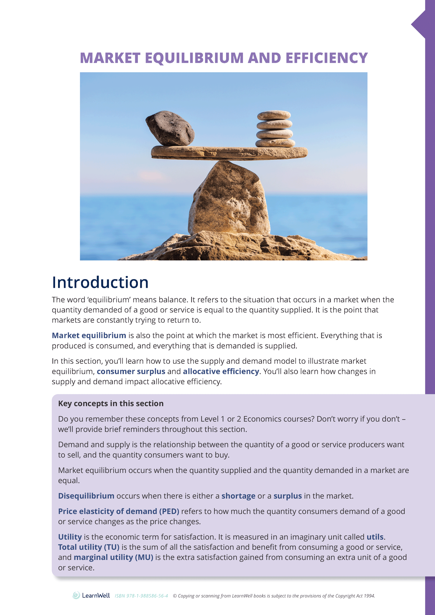 91399 The Efficiency of Market Equilibrium Learning Guide