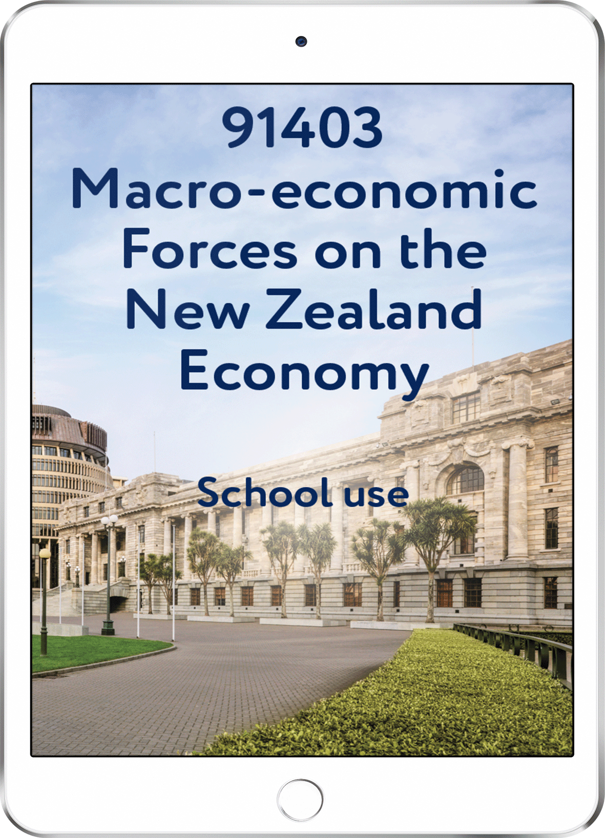 91403 Macro-economic Forces on the New Zealand Economy - School Use