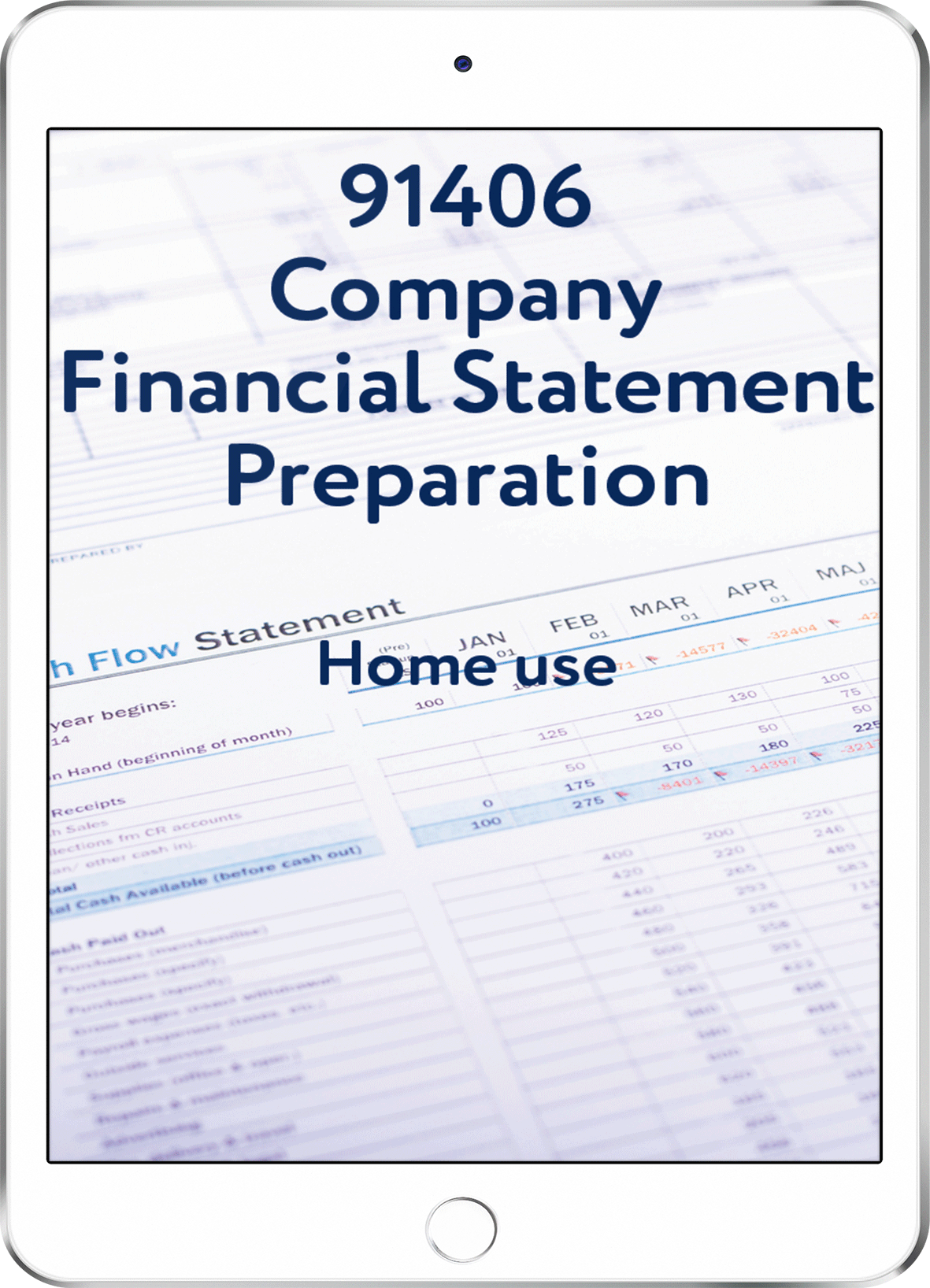 91406 Company Financial Statement Preparation - Home Use