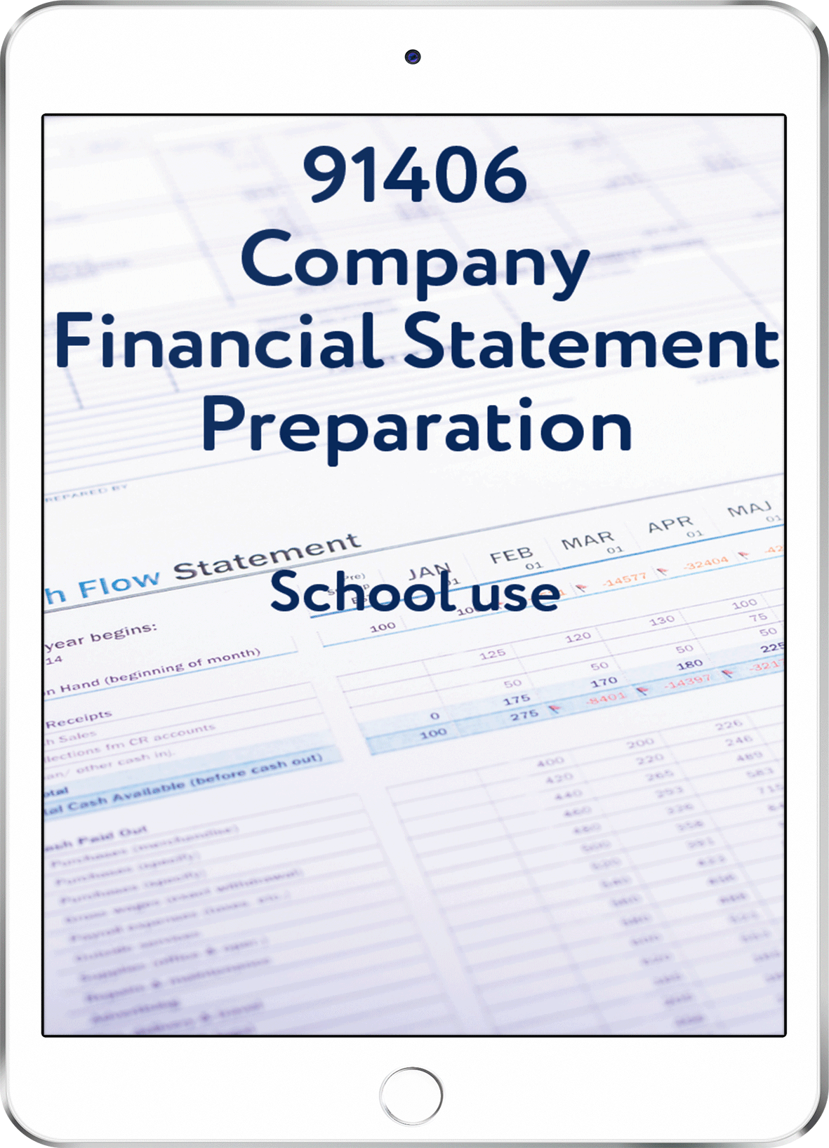 91406 Company Financial Statement Preparation - School Use