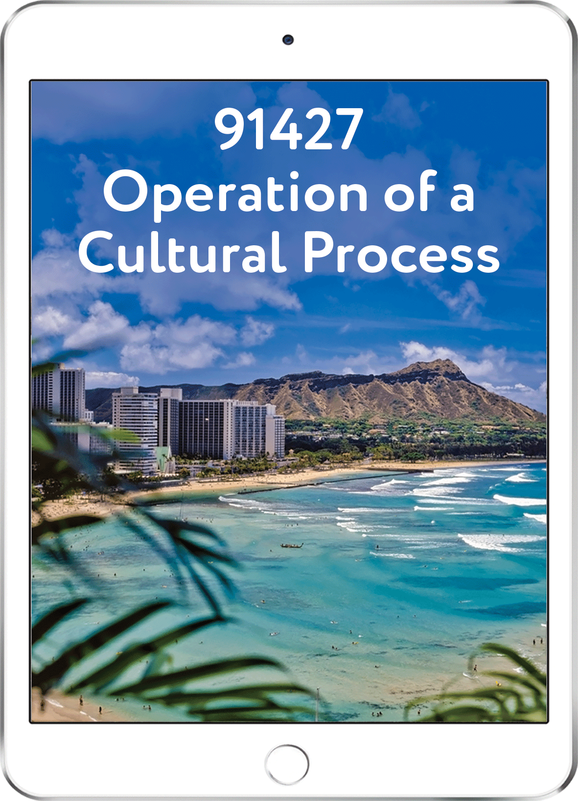 91427 Operation of a Cultural Process