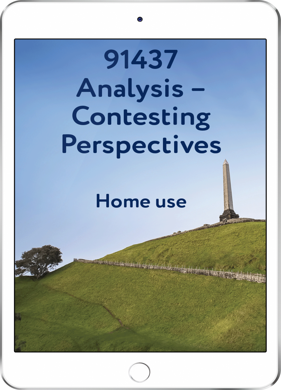91437 Analysis - Contesting Perspectives - Home Use