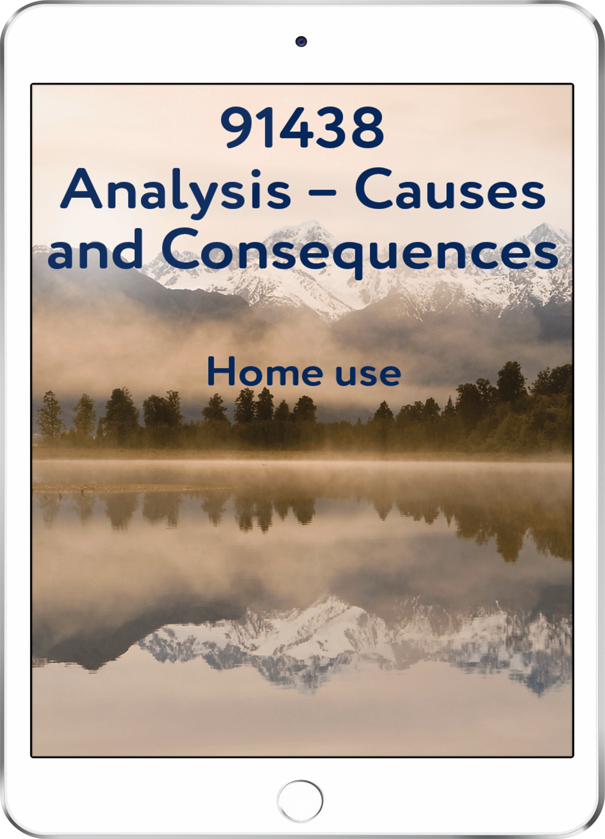 91438 Analysis - Causes and Consequences - Home Use