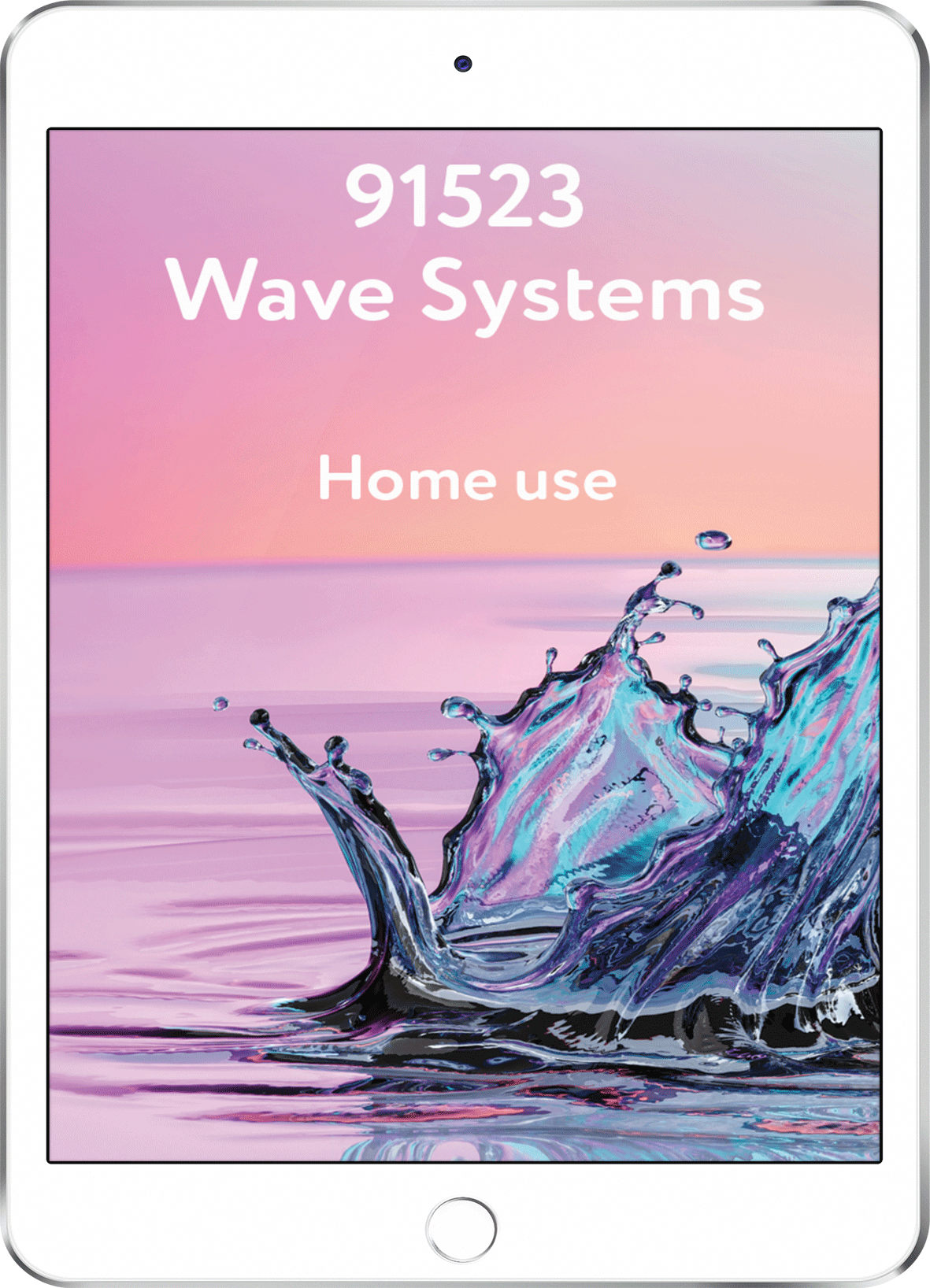 91523 Wave Systems - Home Use