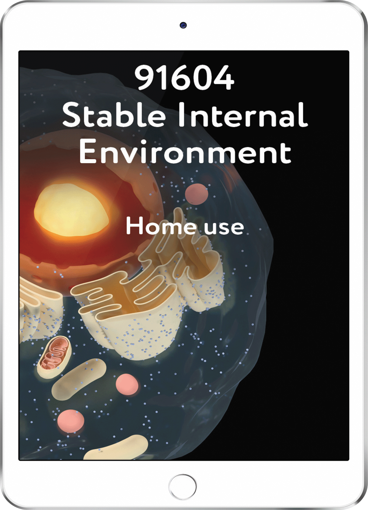 91604-stable-internal-environment-home-use-learnwell