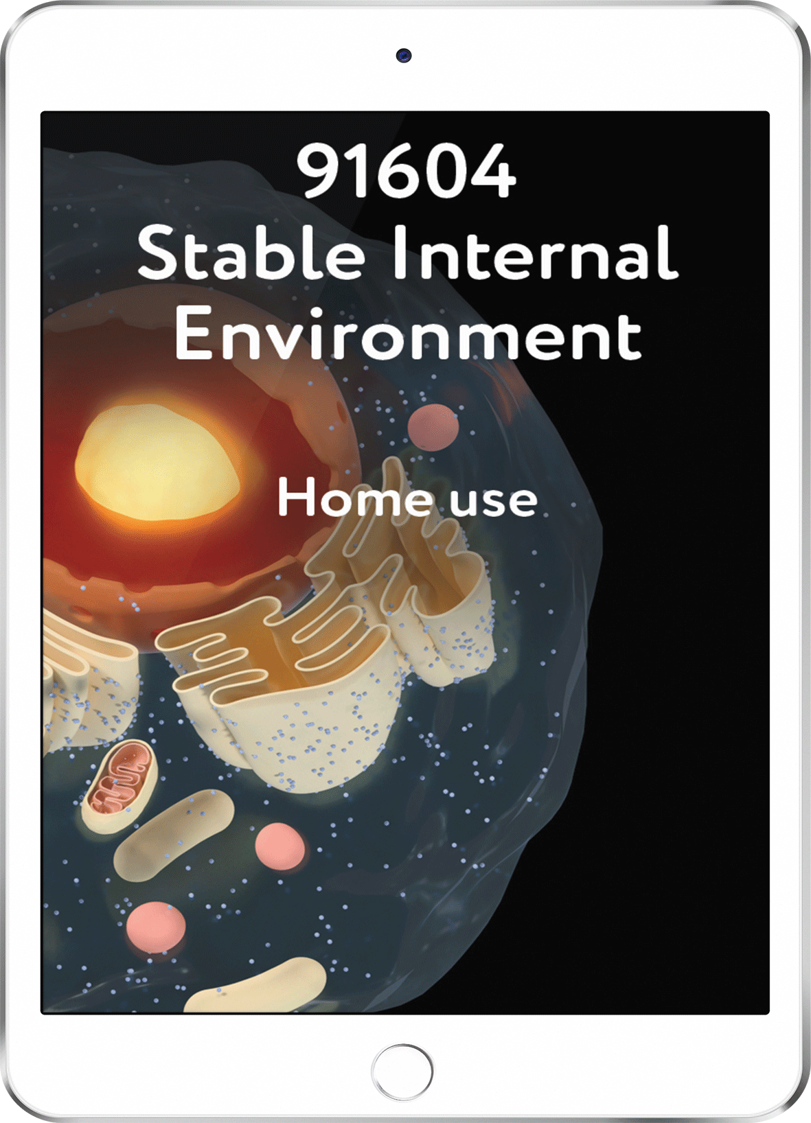 91604 Stable Internal Environment - Home Use