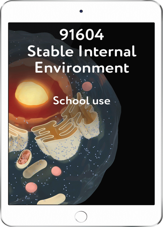 91604 Stable Internal Environment - School Use