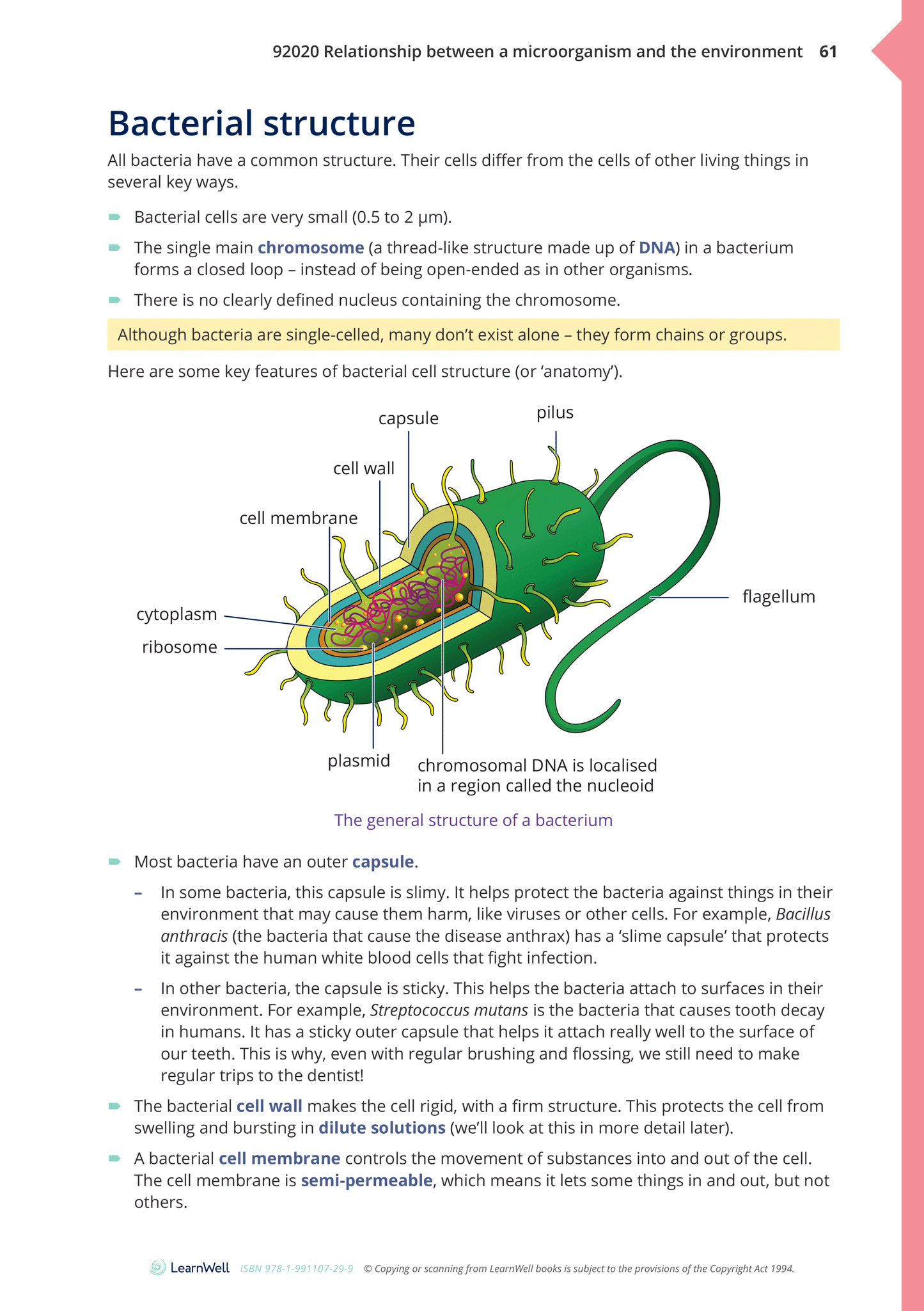 92020 Relationship between a Microorganism and the Environment Learning Guide