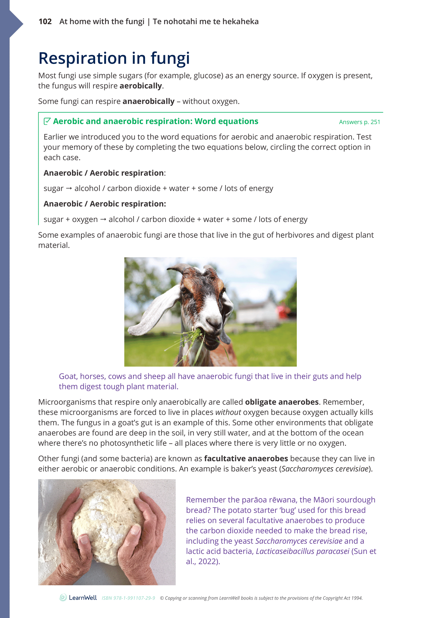 92020 Relationship between a Microorganism and the Environment Learning Guide