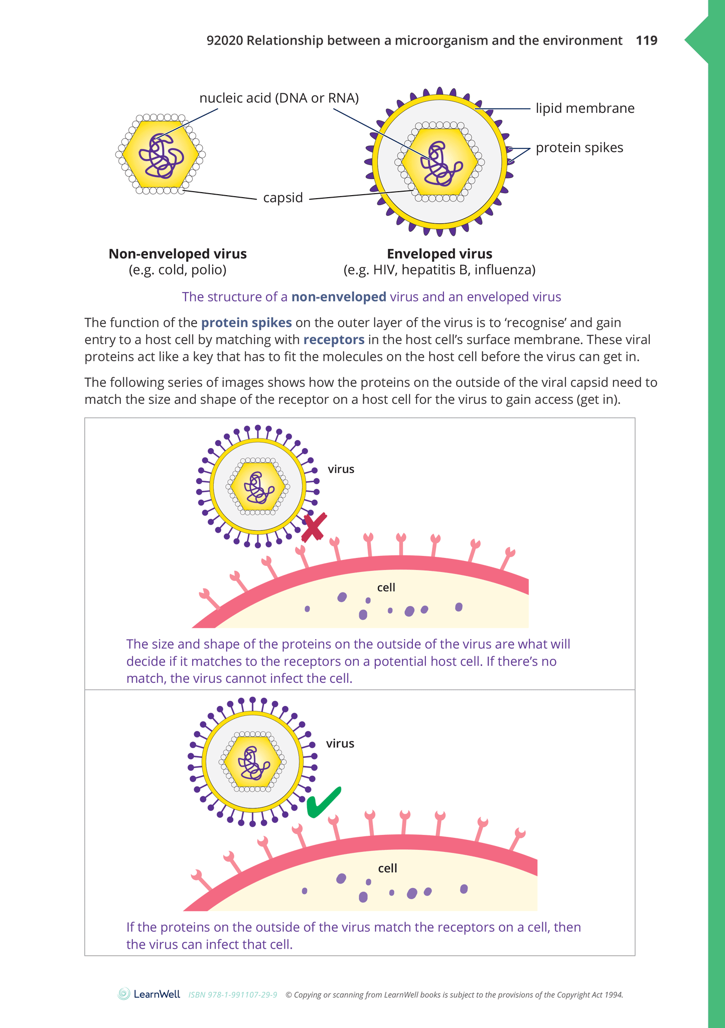 92020 Relationship between a Microorganism and the Environment Learning Guide