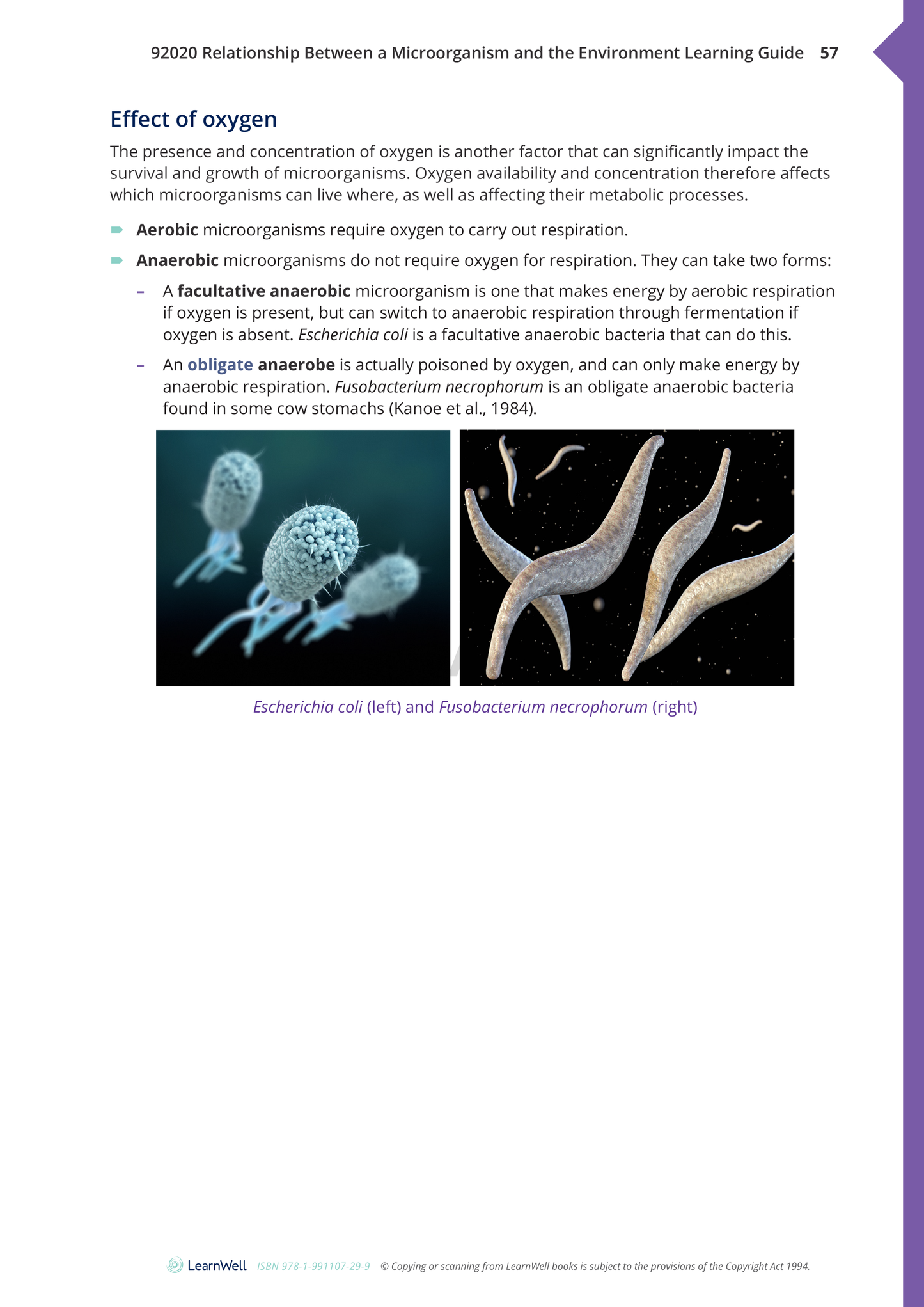 92020 Relationship between a Microorganism and the Environment Learning Guide