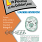 Level 2 Life Processes at the Cellular Level 2.4 Learning Workbook