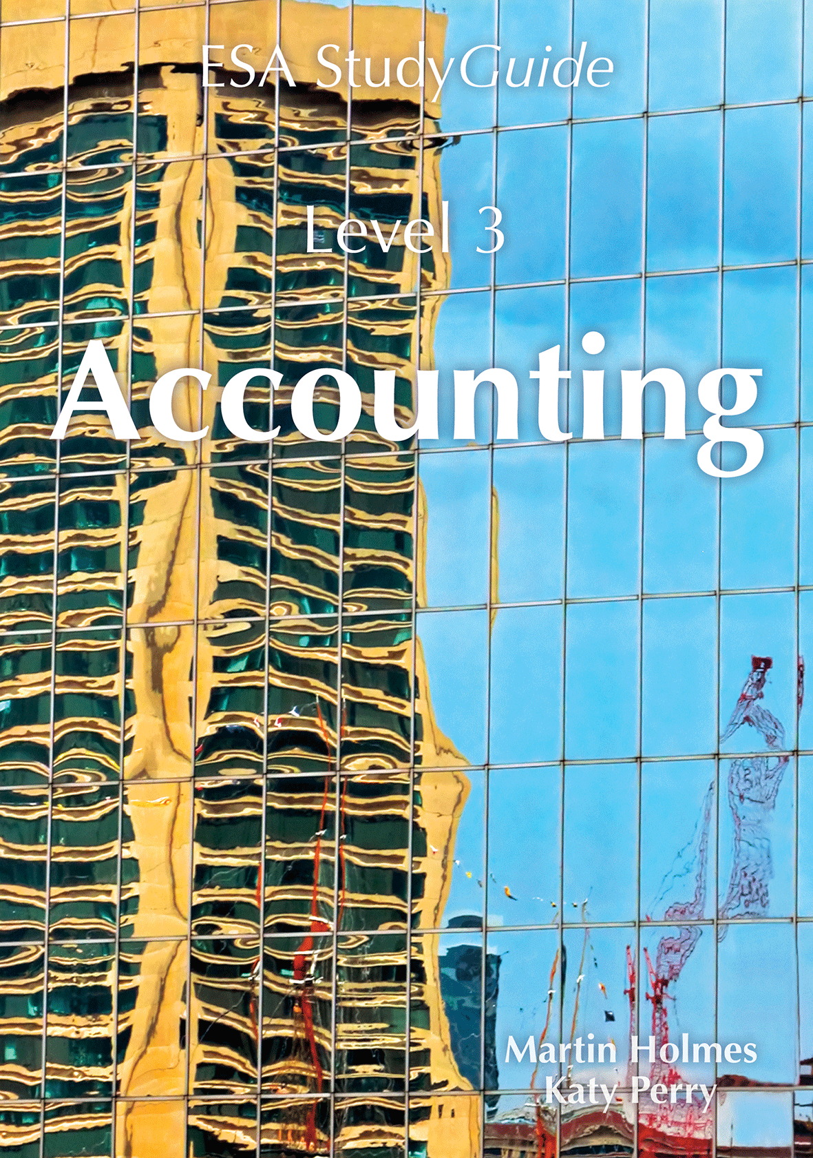 Level 3 Accounting ESA Study Guide