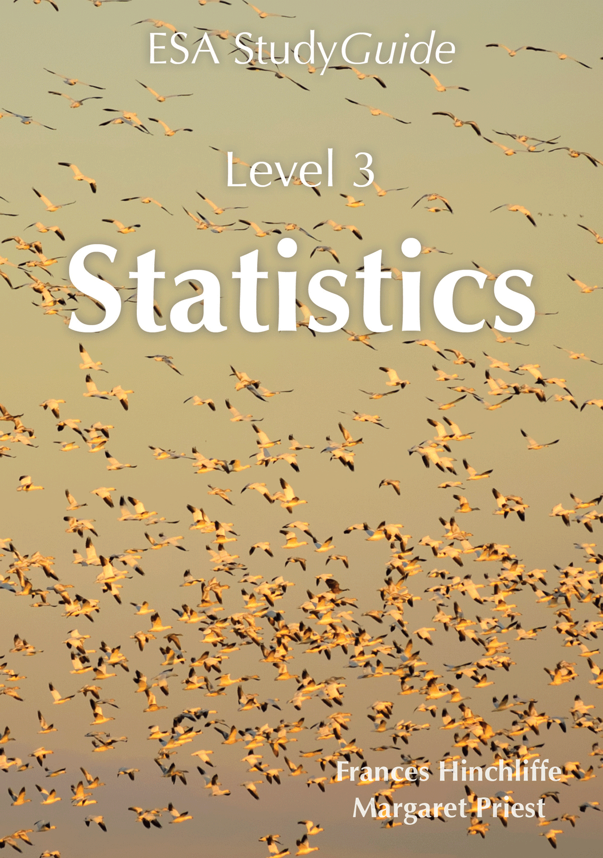 Level 3 Statistics ESA Study Guide