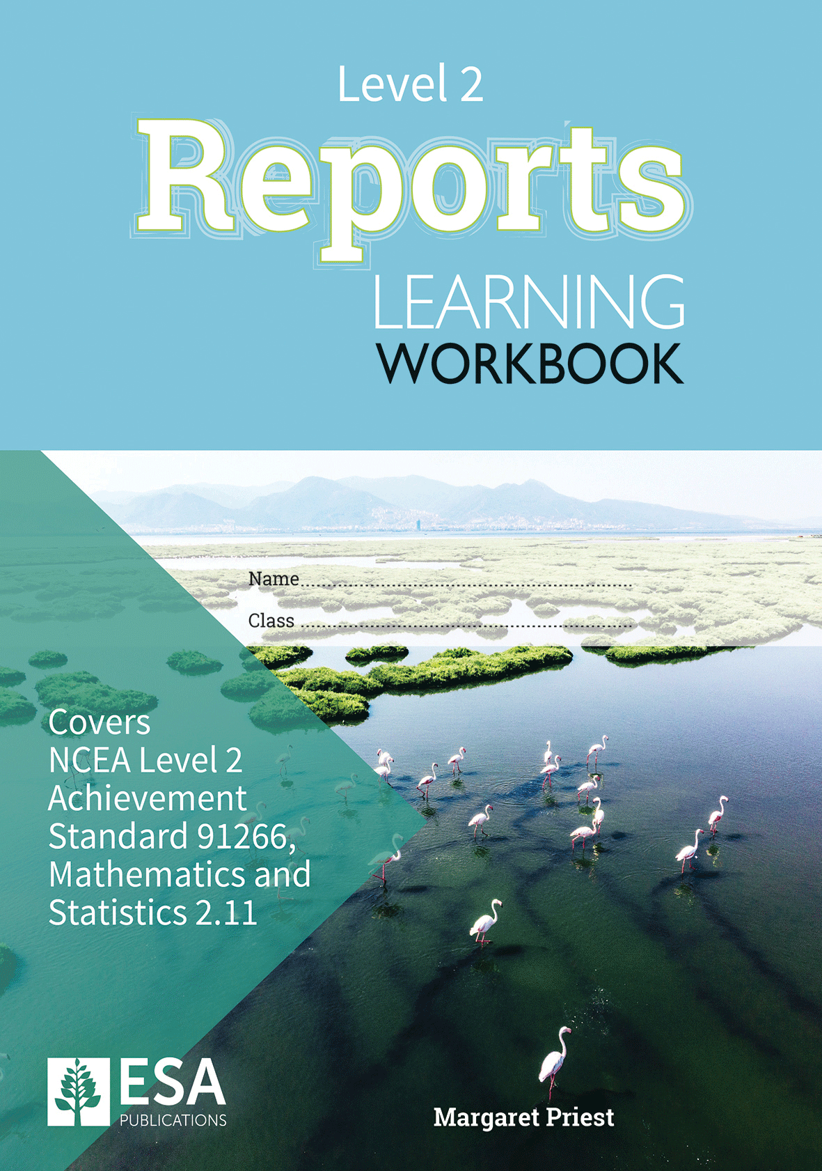 Level 2 Reports 2.11 Learning Workbook